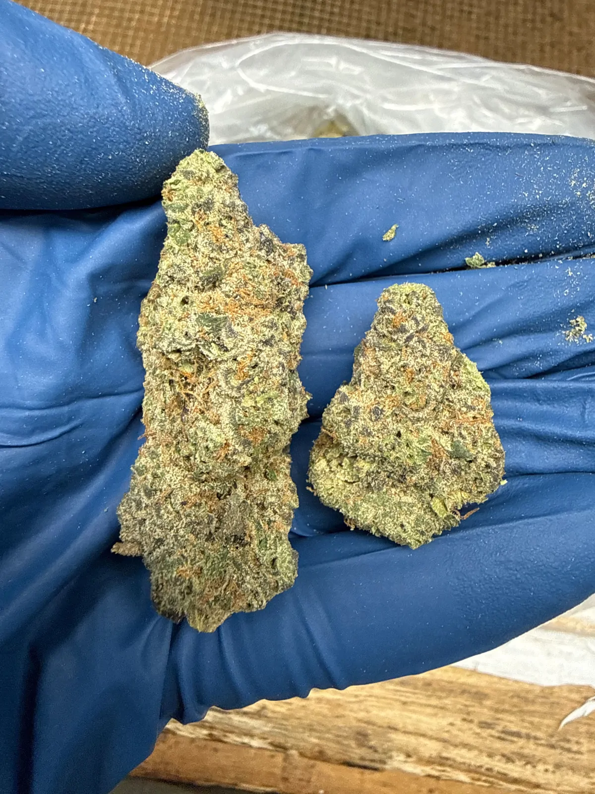 Gelato 41 Flower
